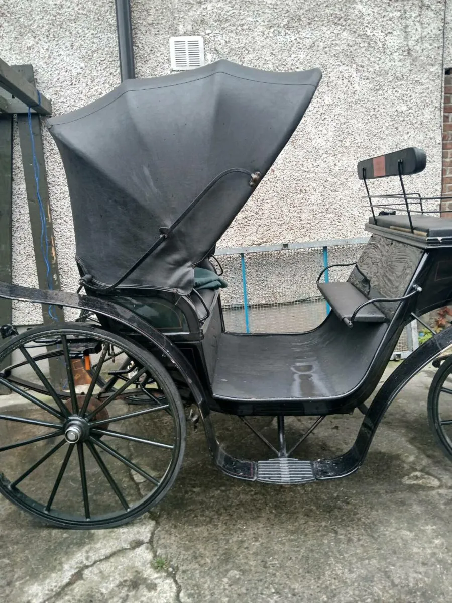 Victoria carriage - Image 3