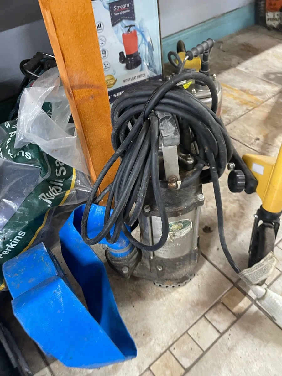 Pumps - Image 2