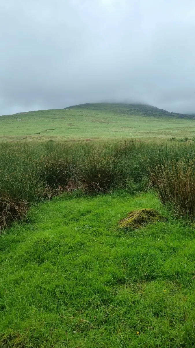 Wanted land for long or short-term lease - Image 2