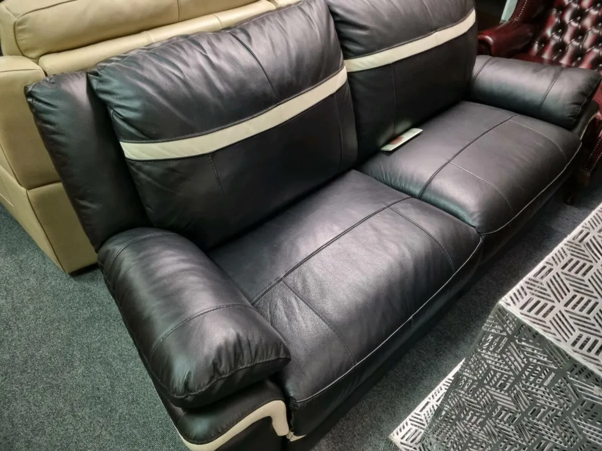 Pair of leather sitees