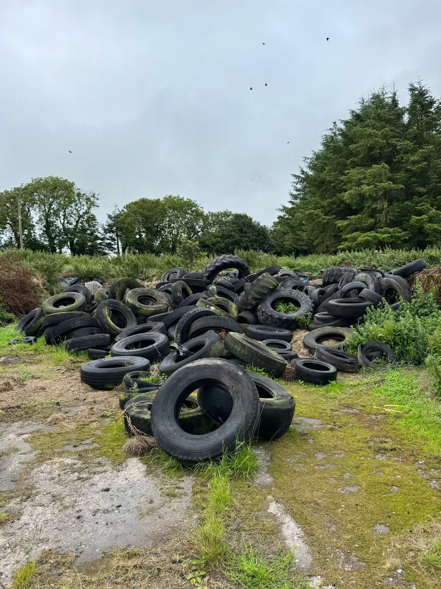 Tyres for silage pit - free - Image 1
