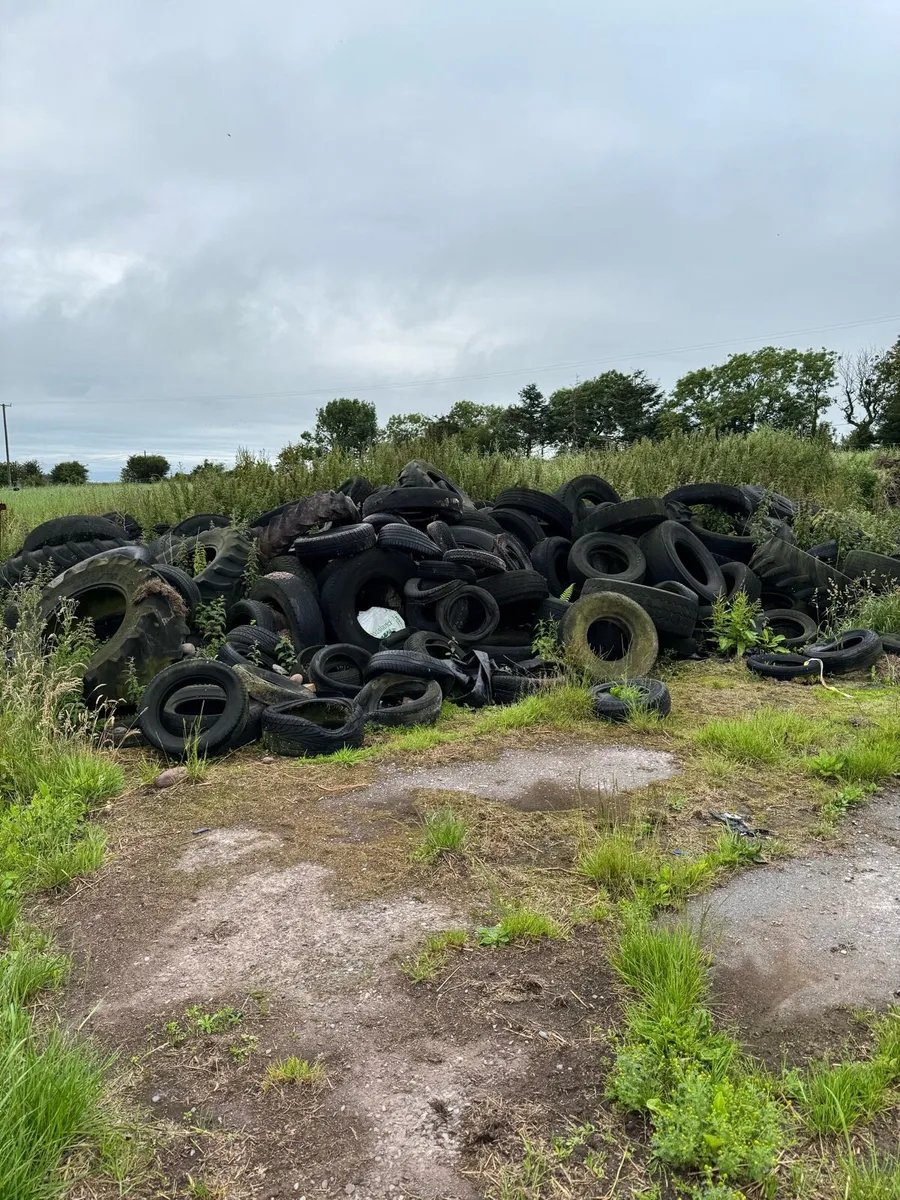 Tyres for silage pit - free - Image 2