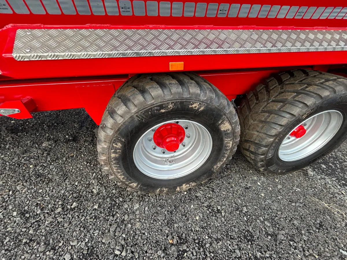 16 Hogg Dump trailer - Image 3