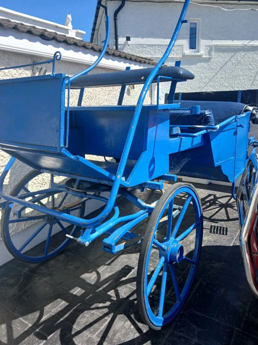 Carriage - Image 1