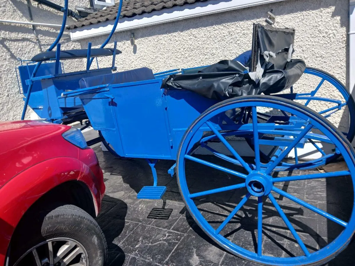 Carriage - Image 2
