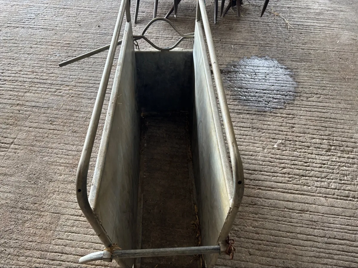 Calf dehorning crate - Image 1