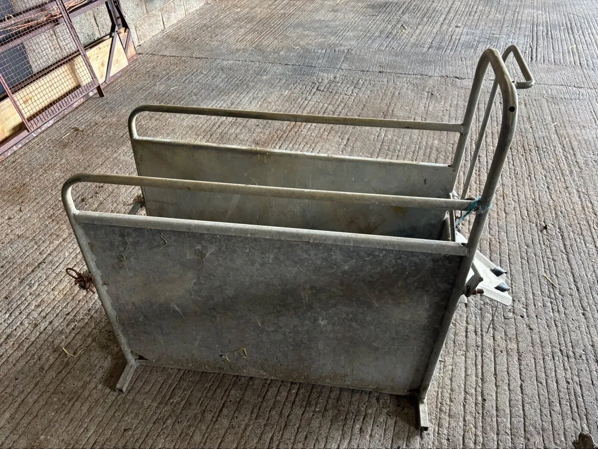 Calf dehorning crate - Image 2