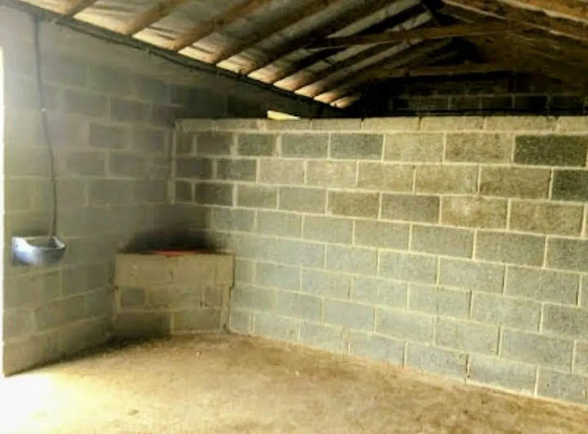 Livery available - Image 2