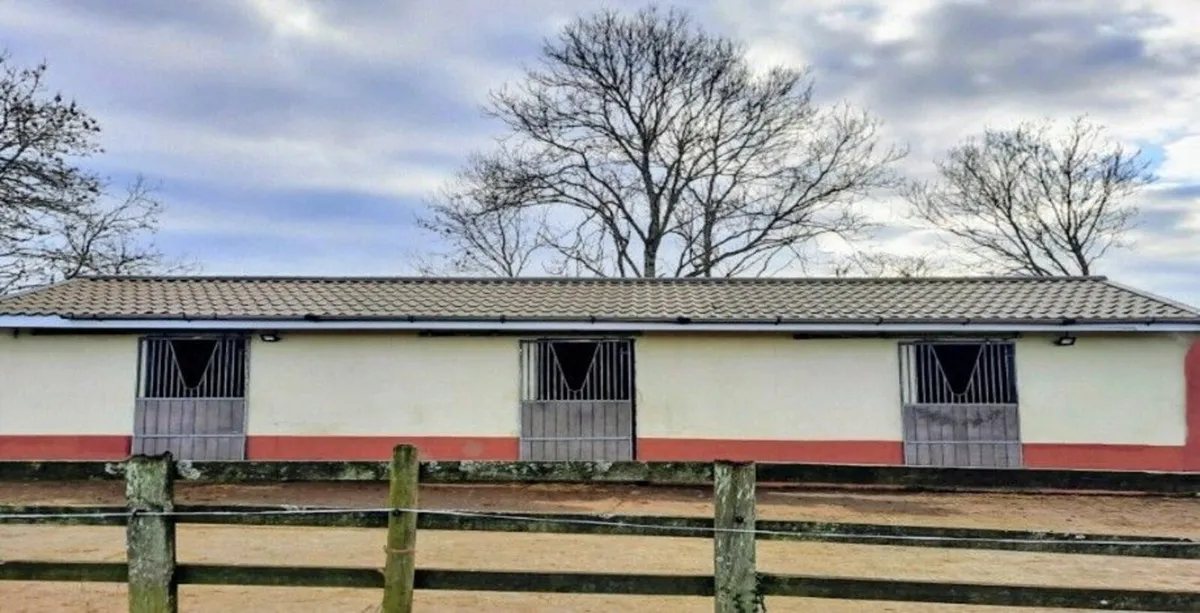 Livery available - Image 1