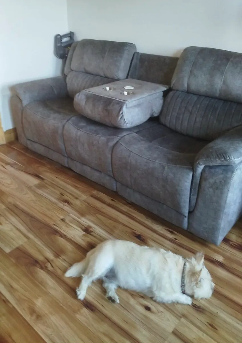 Couch/ sofa - Image 1