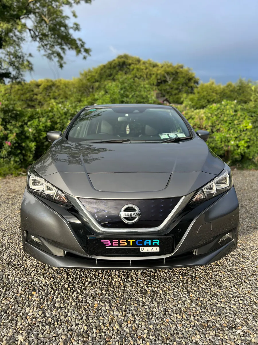 2019 Nissan Leaf Sve 40 kw Zero emissions! - Image 2