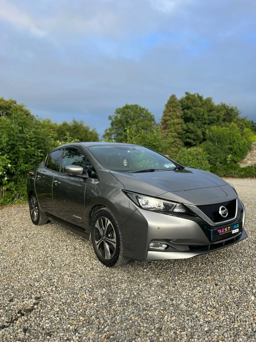 2019 Nissan Leaf Sve 40 kw Zero emissions! - Image 1
