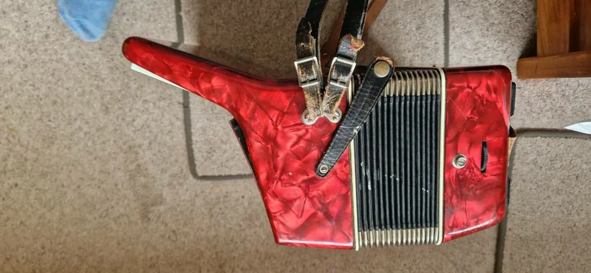 Firotti 12 base Accordion - Image 3