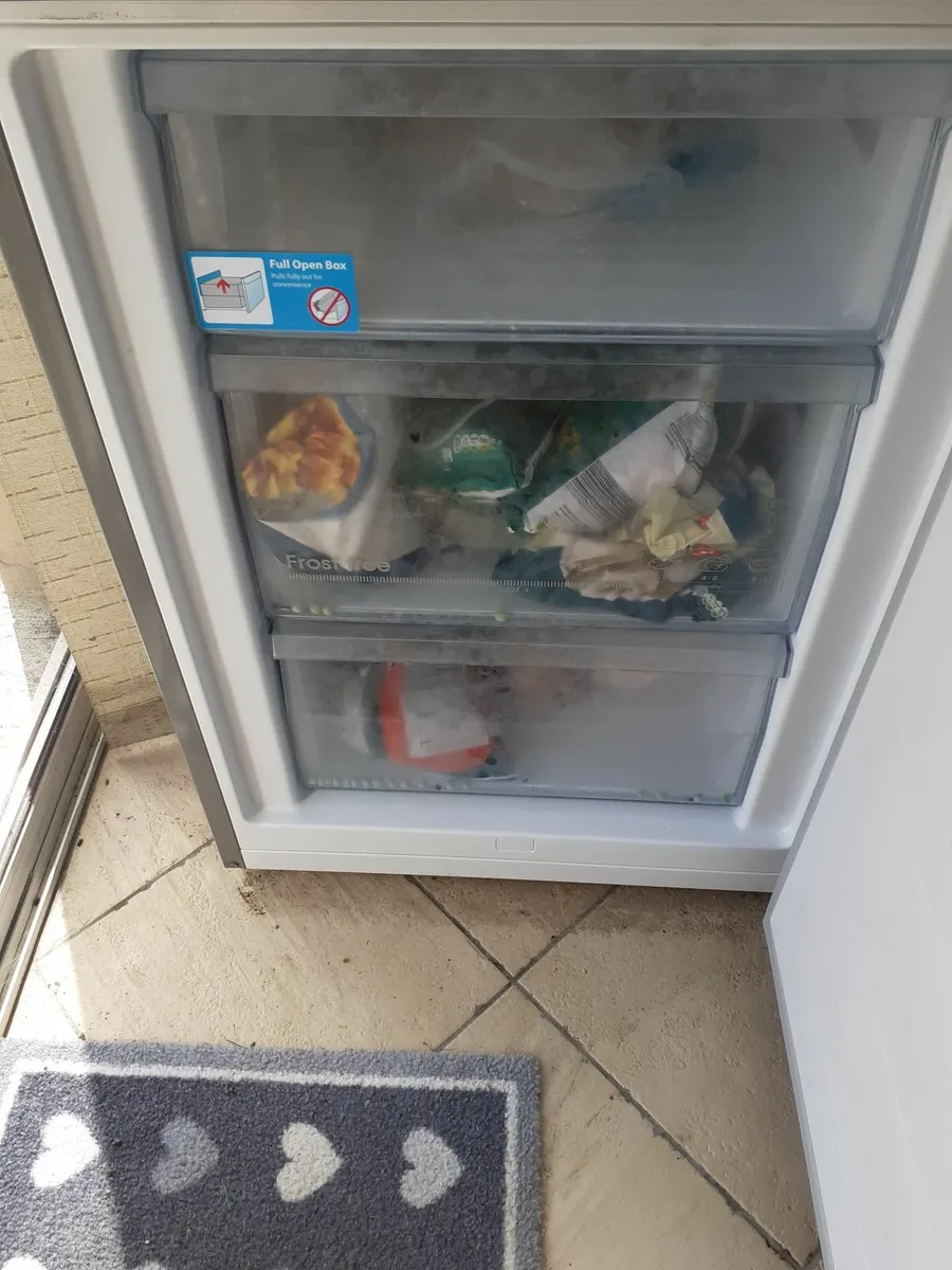 KENWOOD FRIDGE FREEZER - Image 3
