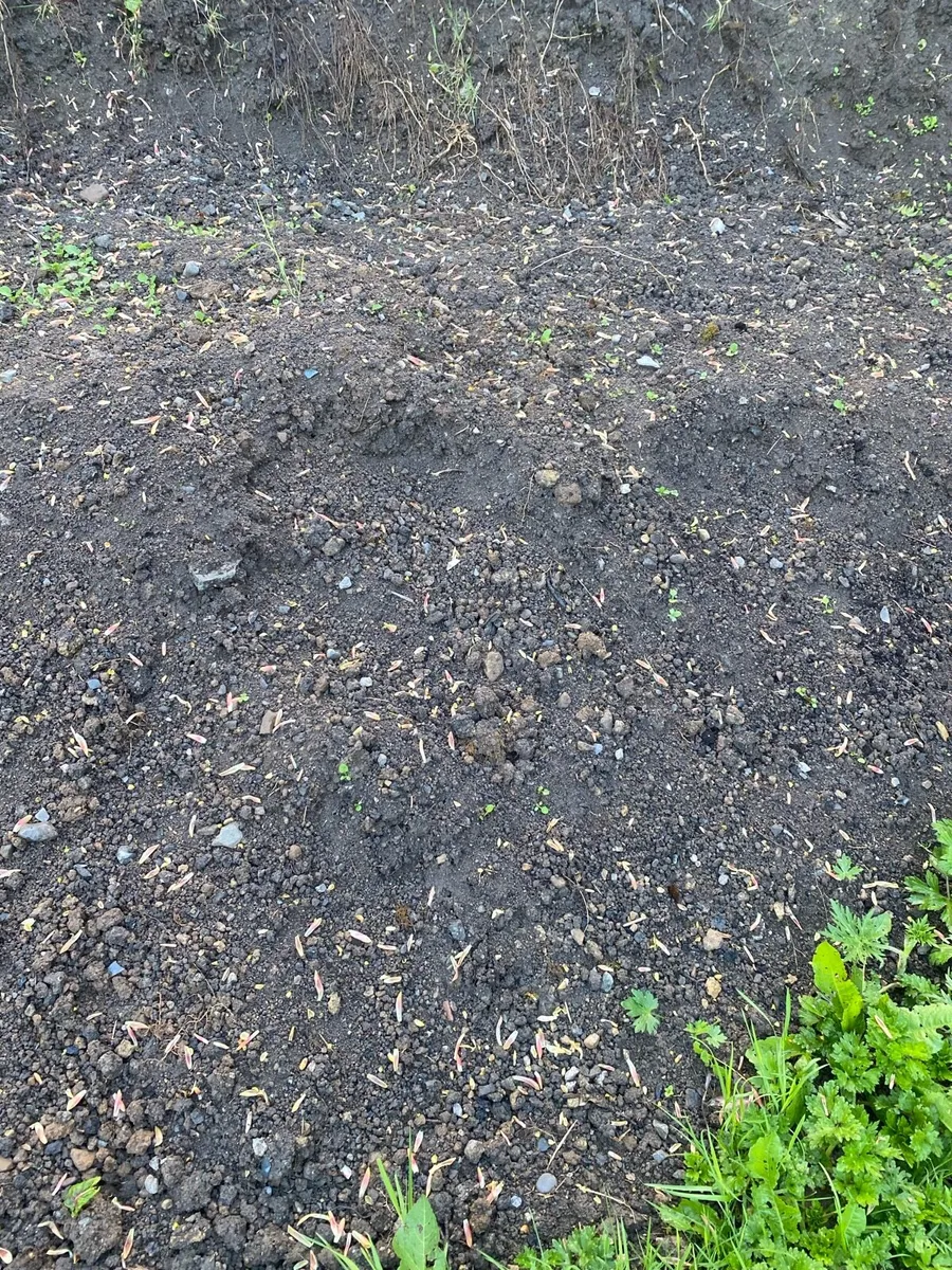 Top soil - Image 2