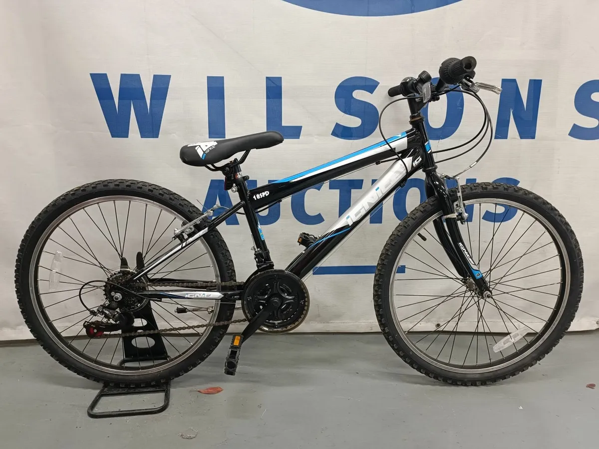 Online Auction Of An Ignite Mountain Bike - Image 1
