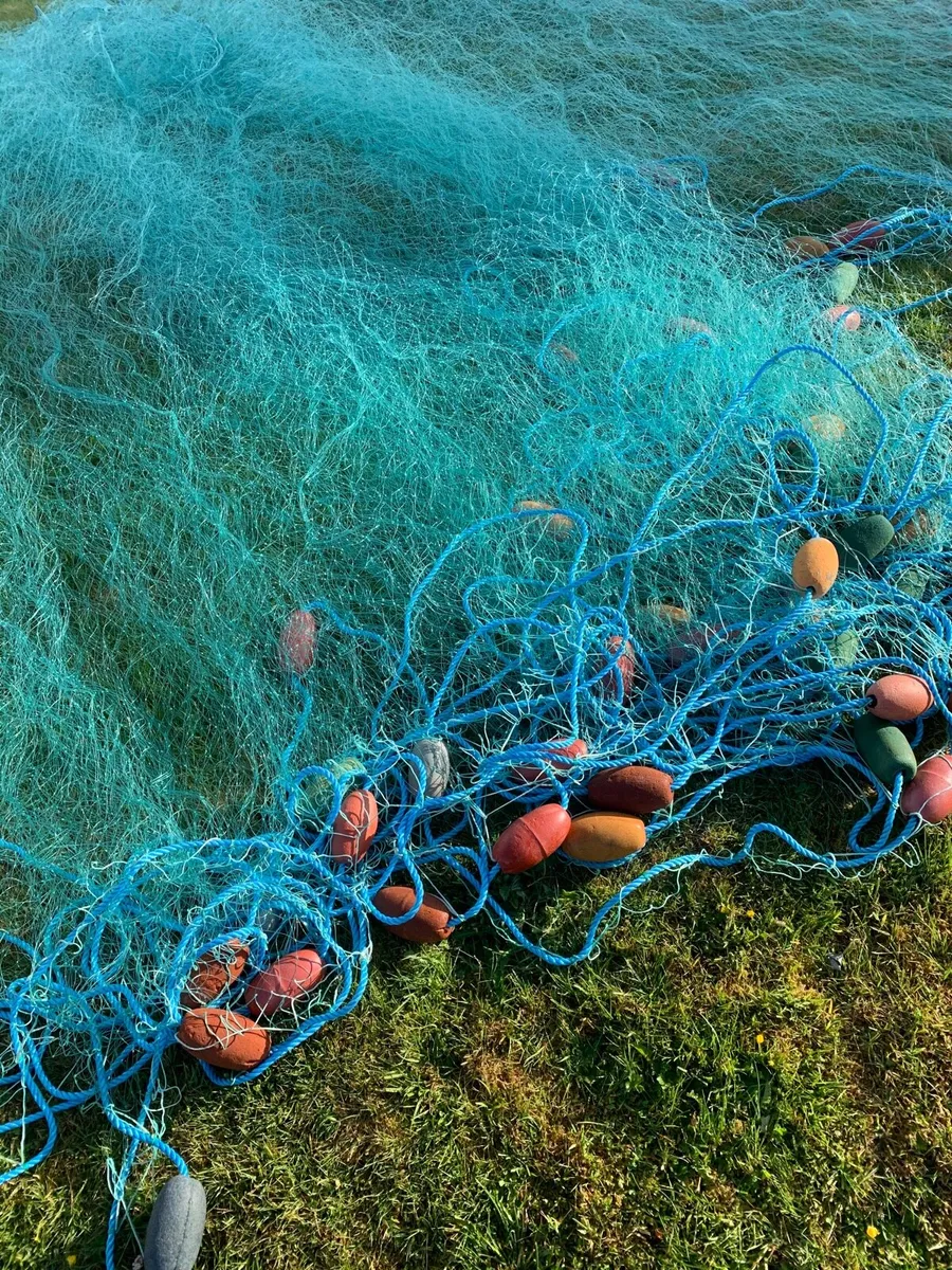 Salmon fishing Nets - Image 2