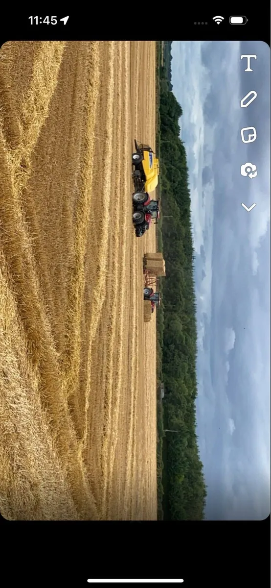 Wheat & Rye Straw Wanted - Image 2