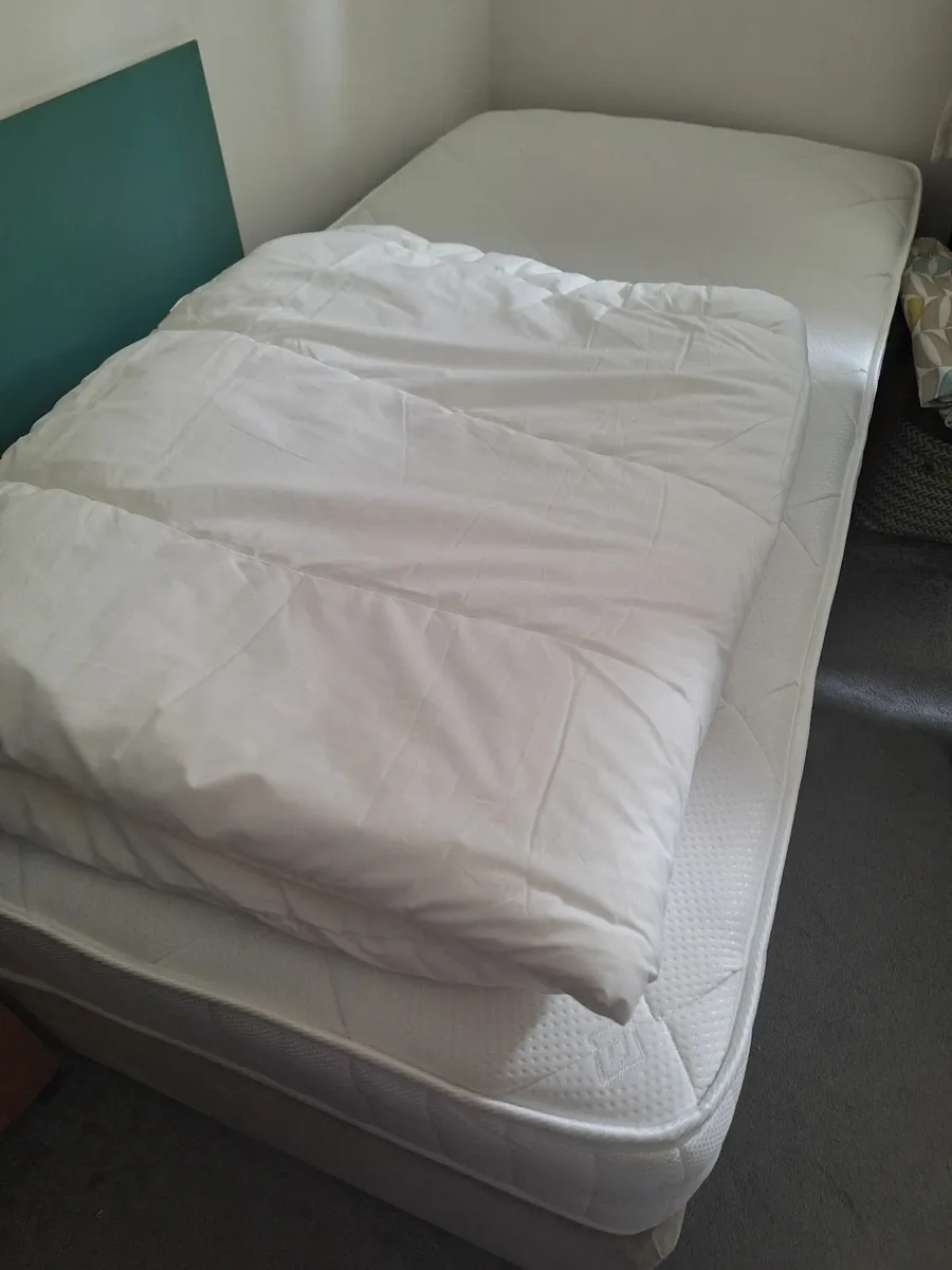 Single divan  bed - Image 1