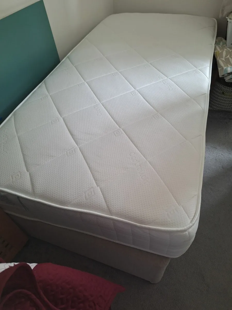 Single divan  bed - Image 2