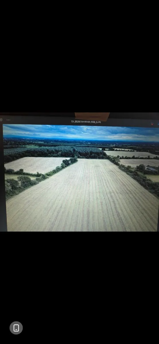 Silage - Image 1