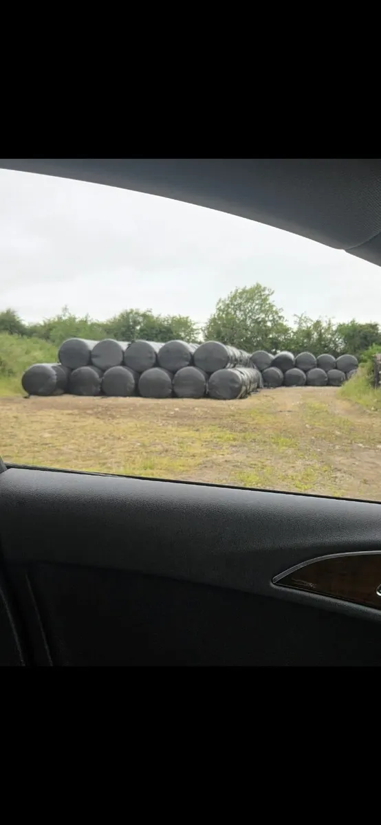 Silage - Image 2