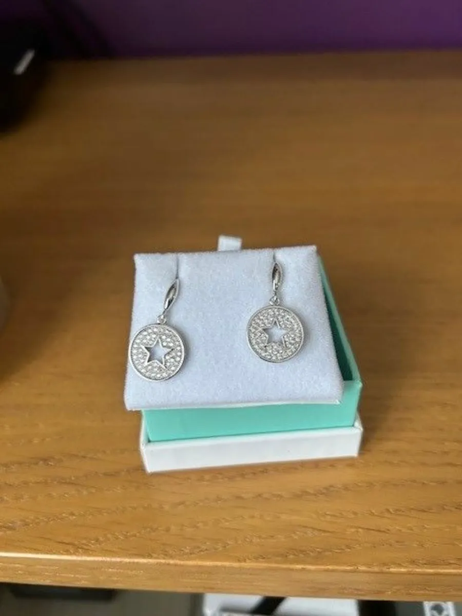 Earrings - Image 1