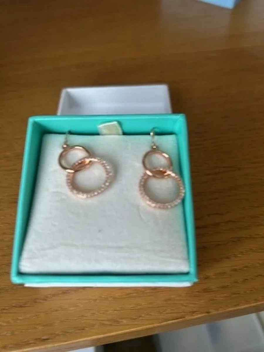 Earrings - Image 3