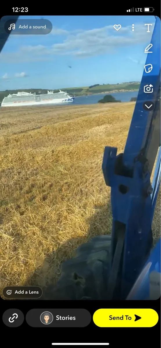 Barley straw - Image 1