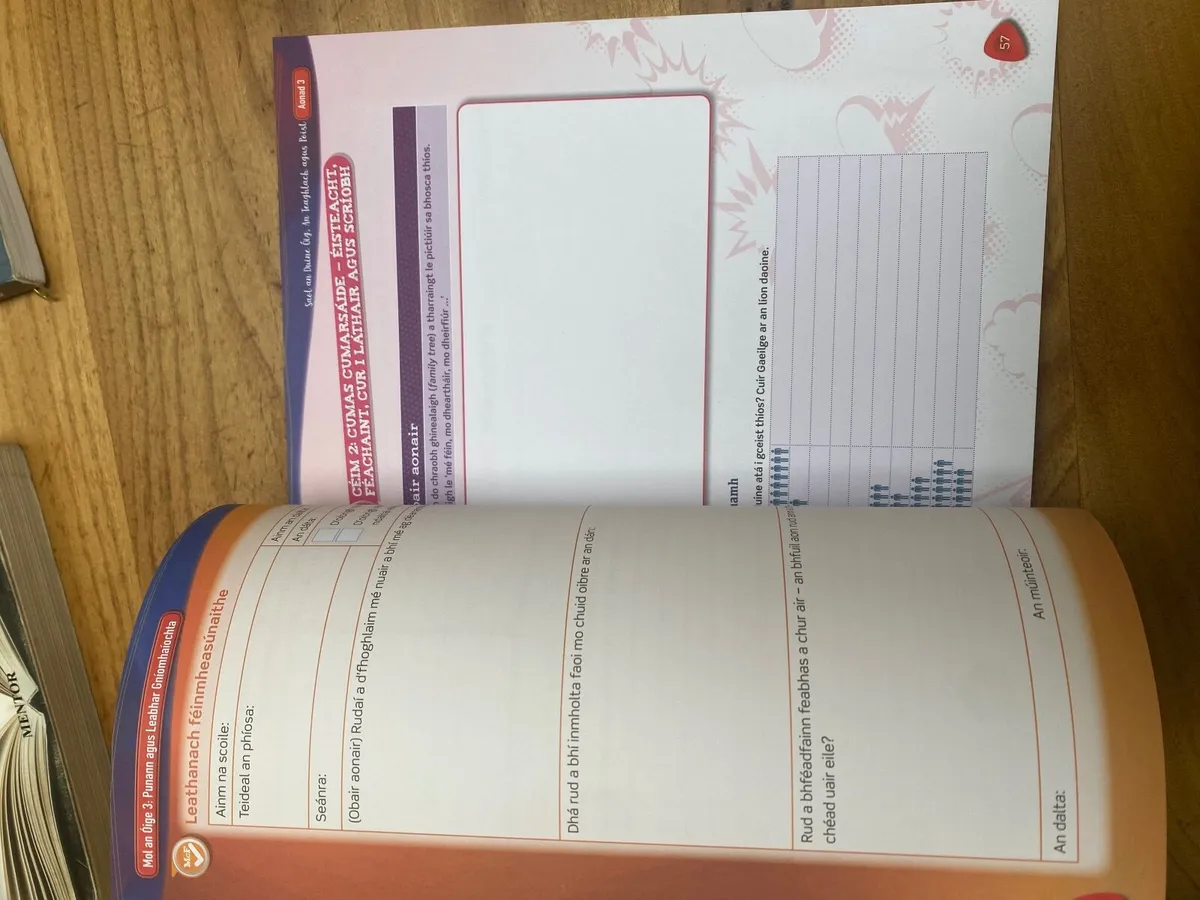 Mol an Oige 3 Irish Junior cert textbook&workbook - Image 4