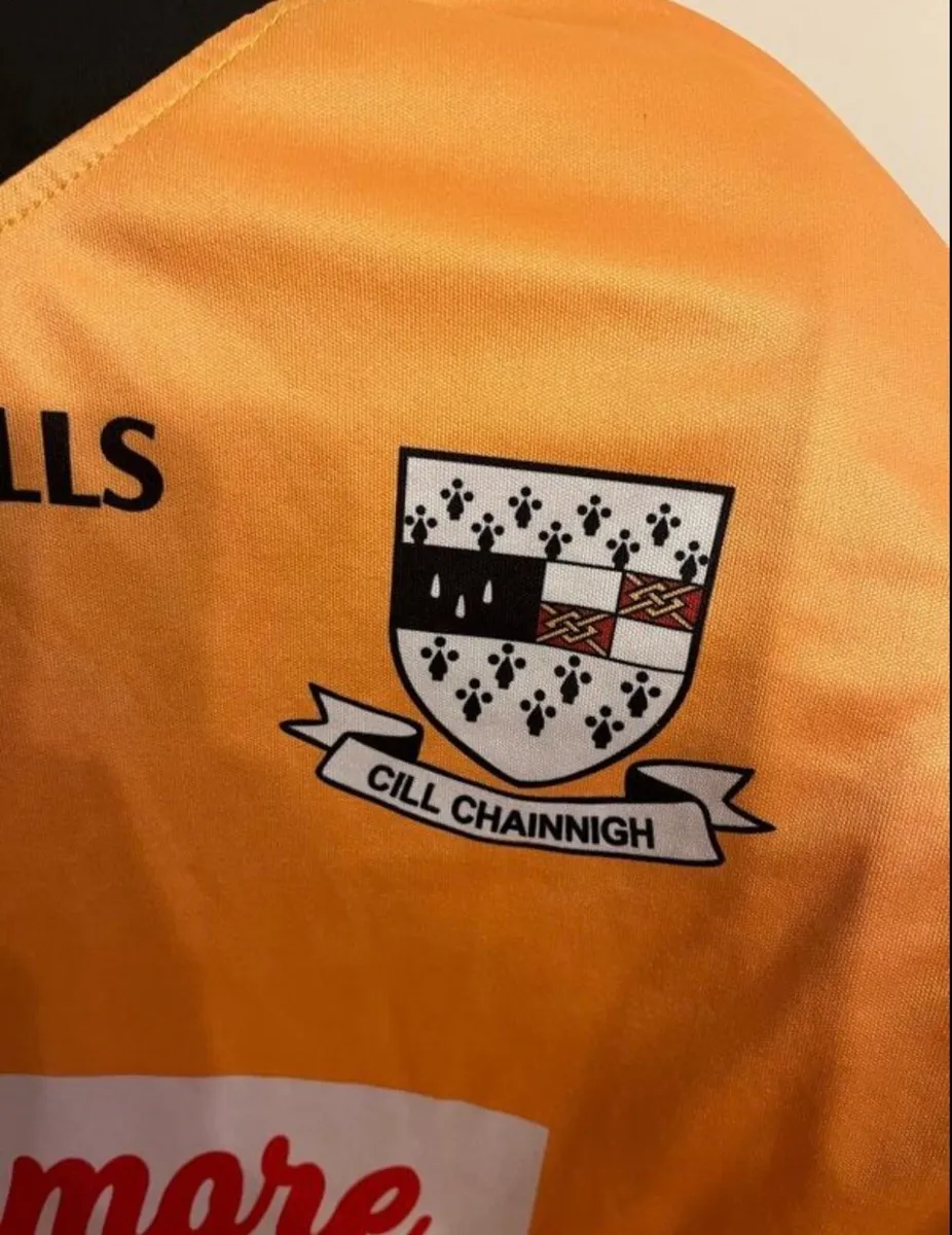 Vintage Kilkenny Gaa jersey - Image 2