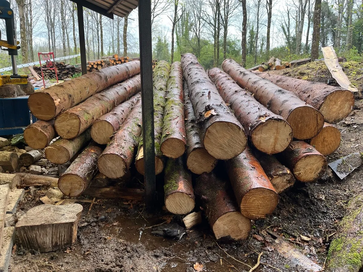 Timber offcuts - Image 4