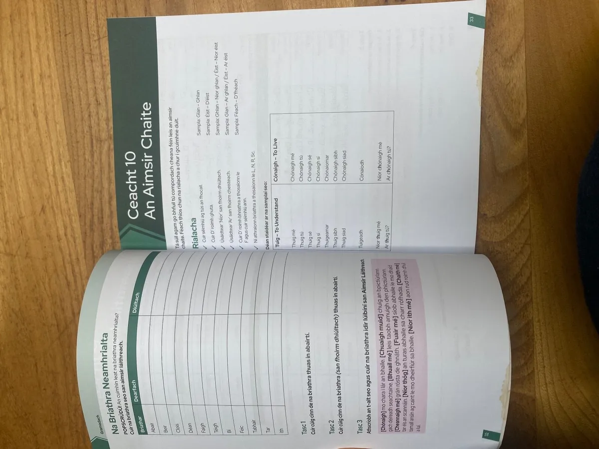 Bridge the gap Irish transition year book - Image 3