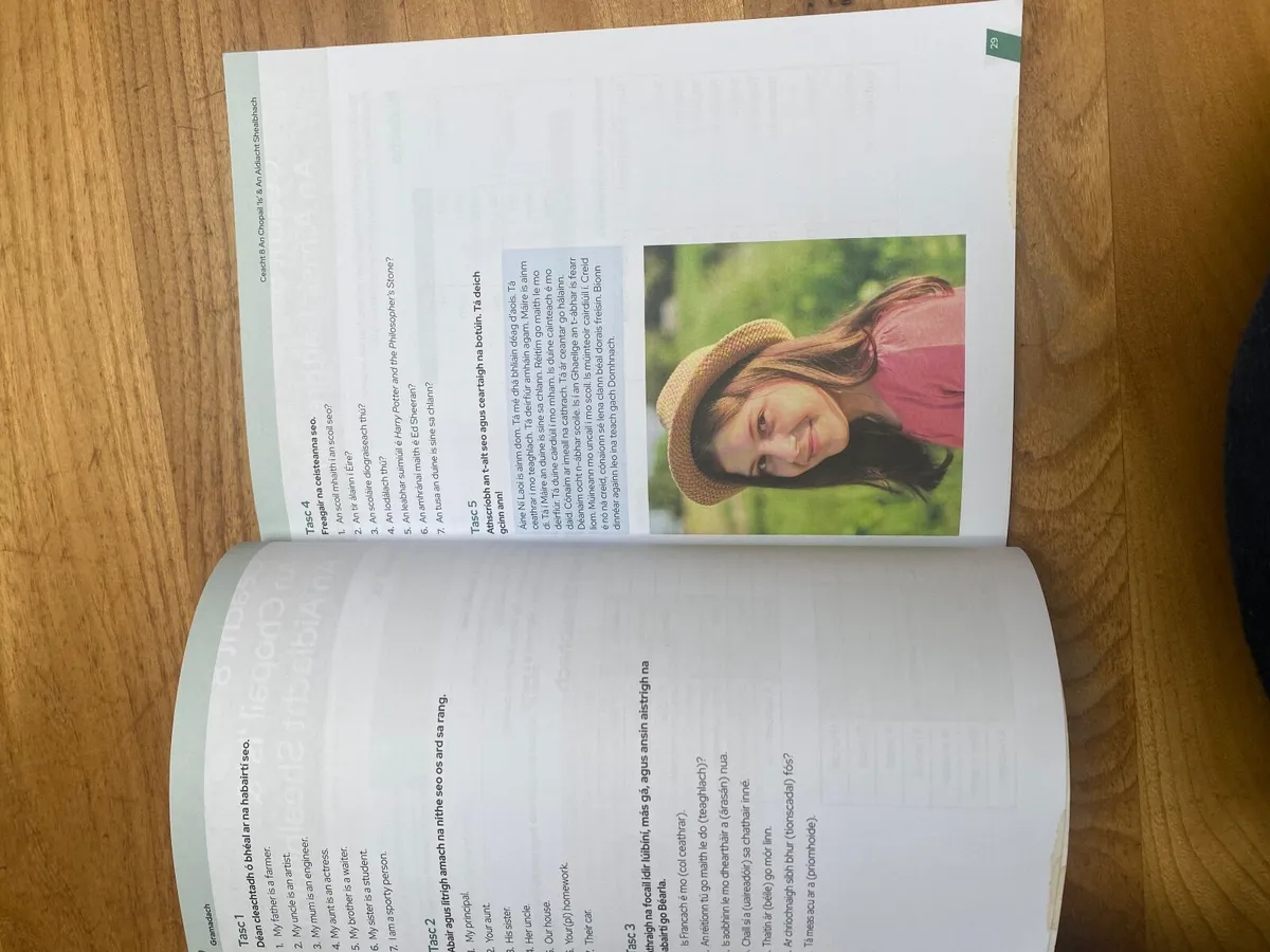 Bridge the gap Irish transition year book - Image 4