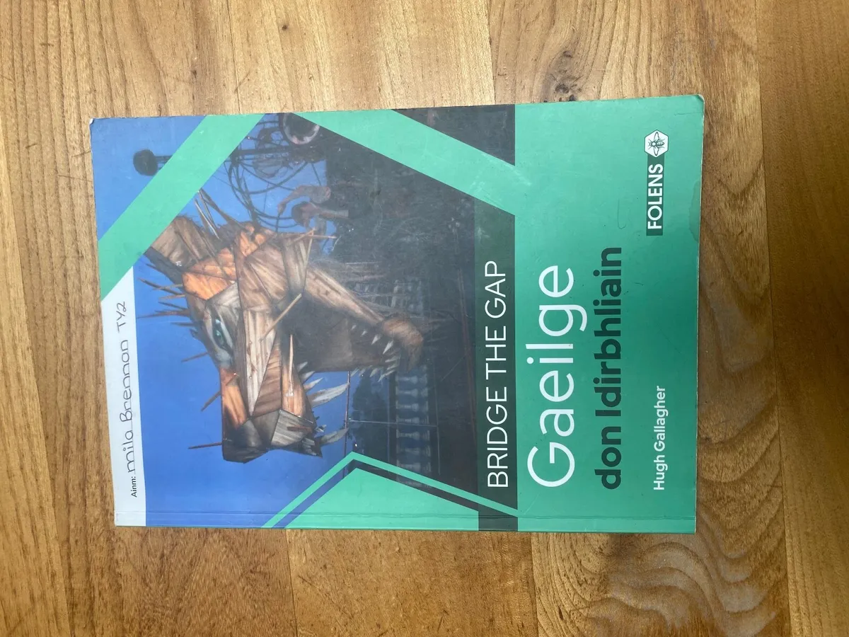 Bridge the gap Irish transition year book - Image 1