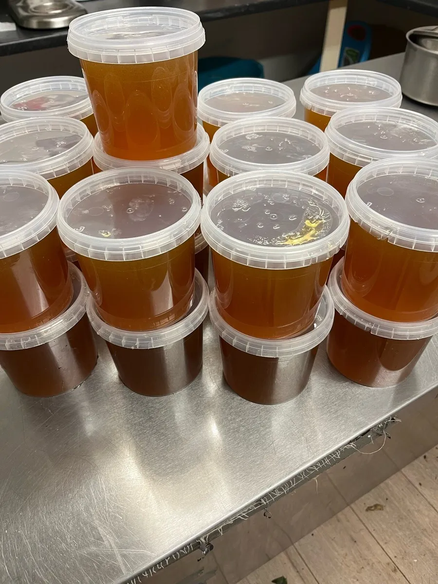 Raw Irish Spring/Summer Honey - Image 1