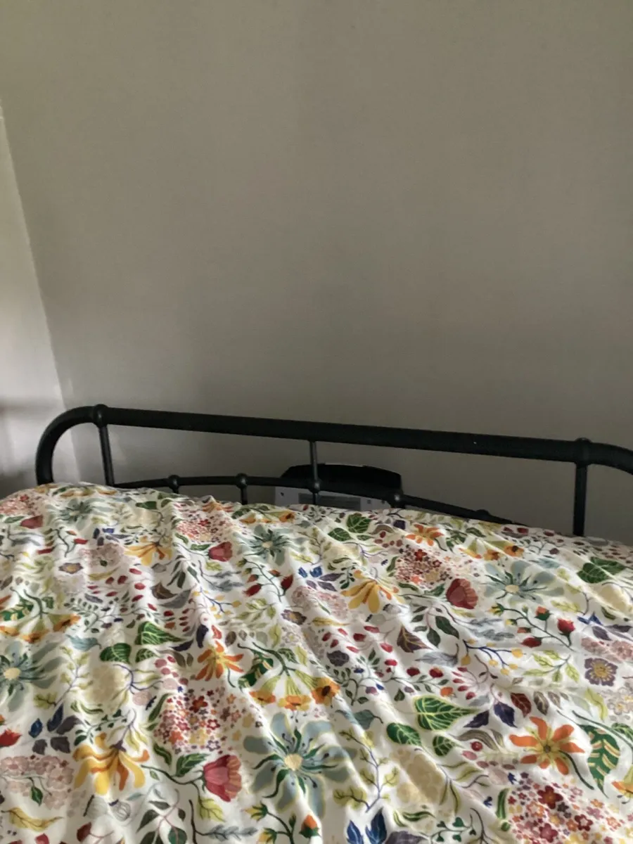 Bed frame and Mattress - Image 1