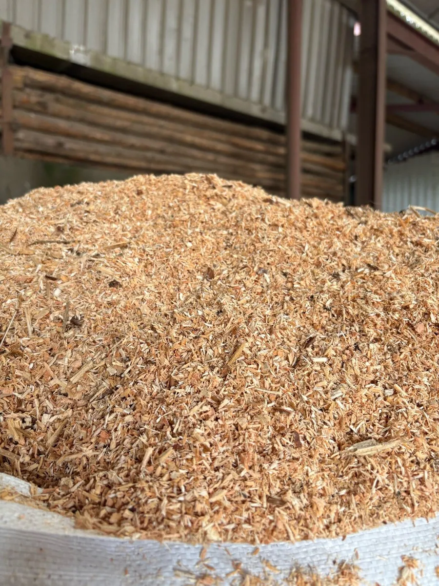 Sawdust bedding - Image 2