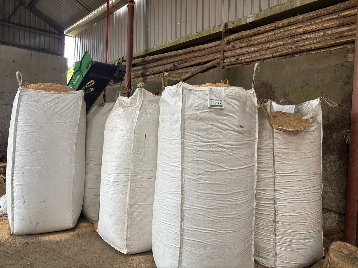 Sawdust bedding - Image 3