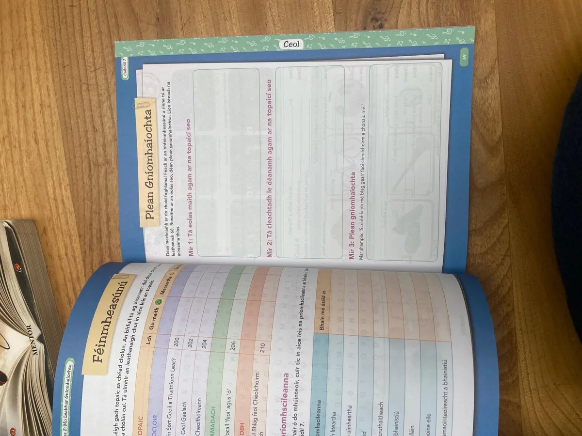 Turas 2 Irish junior cert textbook&workbook - Image 2
