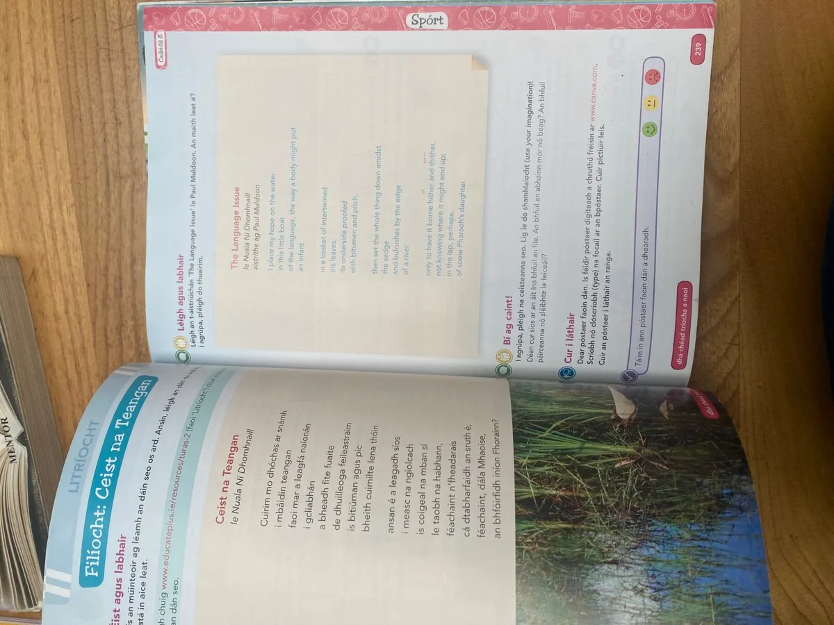 Turas 2 Irish junior cert textbook&workbook - Image 3