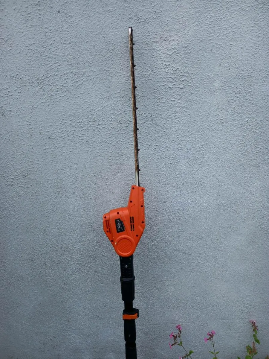 Electric pole strimmer - Image 1