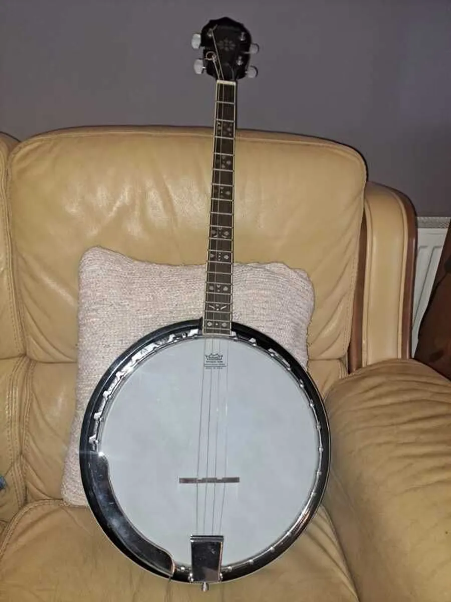 Irish Tenor Banjo for sale - Image 3
