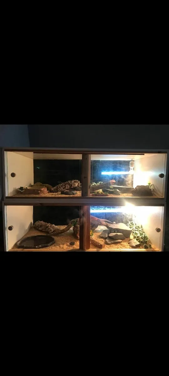 Reptile enclosure - Image 2