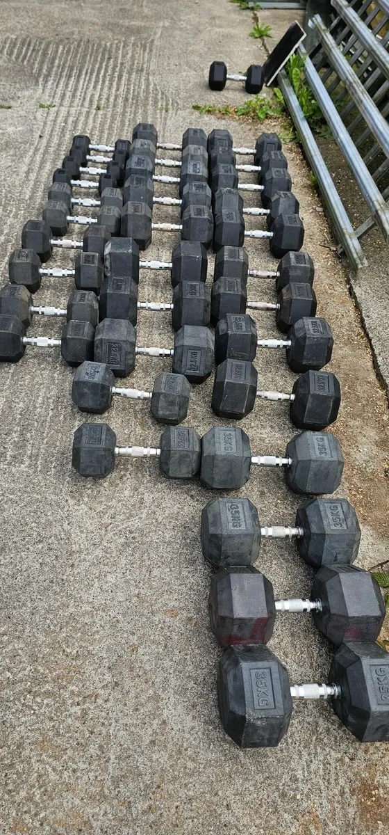 Hex Dumbells ( used ) - Image 1