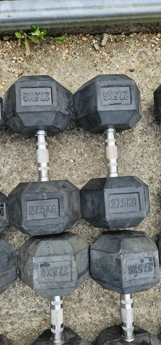 Hex Dumbells ( used ) - Image 4