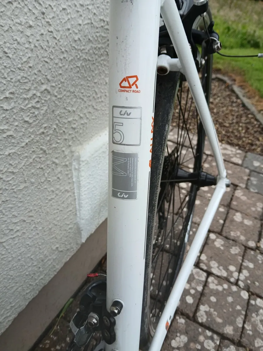 Bike - Image 3