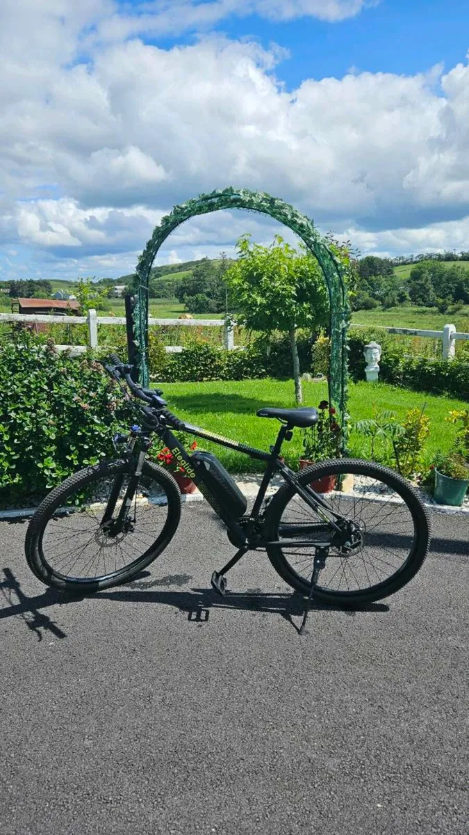 Eleglide M1 Plus Electric Mountain Bike - Image 1
