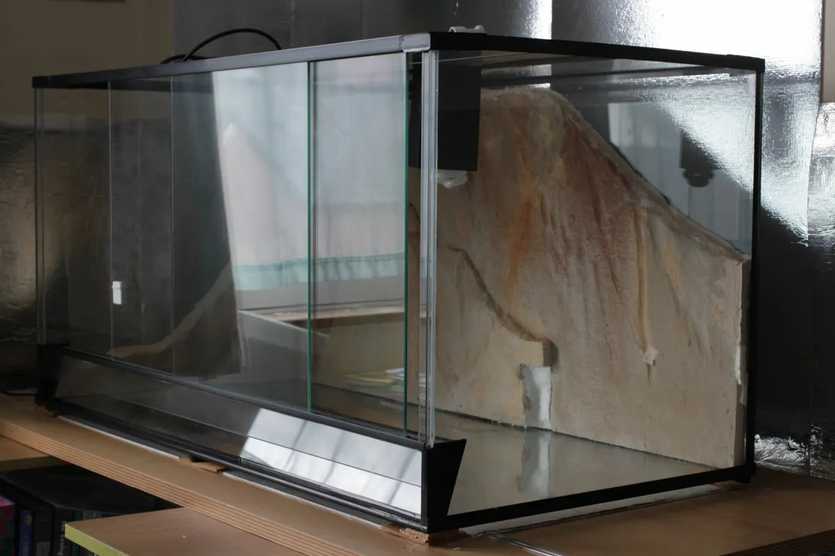 Glass Terrarium with Complete Accessories - Image 2