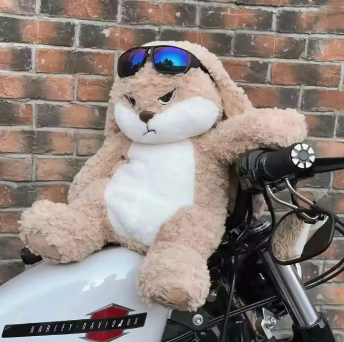 Angry Rabbit Plush Toy - Image 2